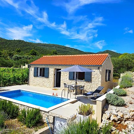 Stone House In Vineyard Villa Račišće Exterior foto