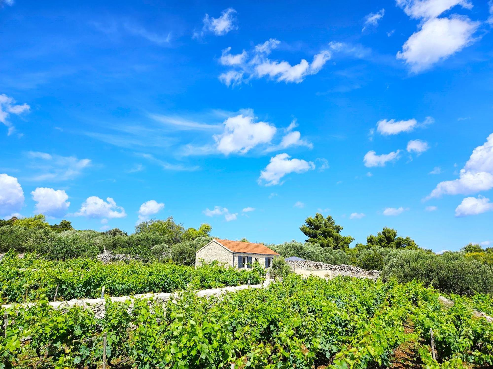 Stone House In Vineyard Villa Račišće Exterior foto