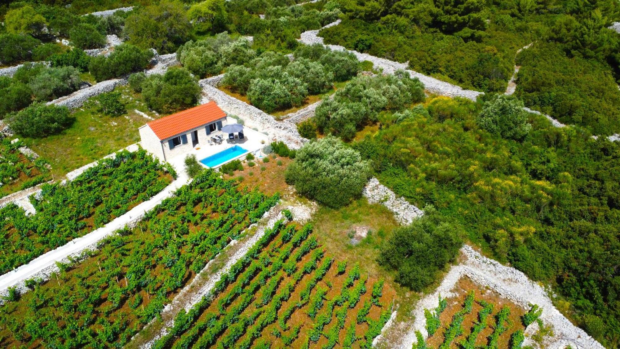 Stone House In Vineyard Villa Račišće Exterior foto