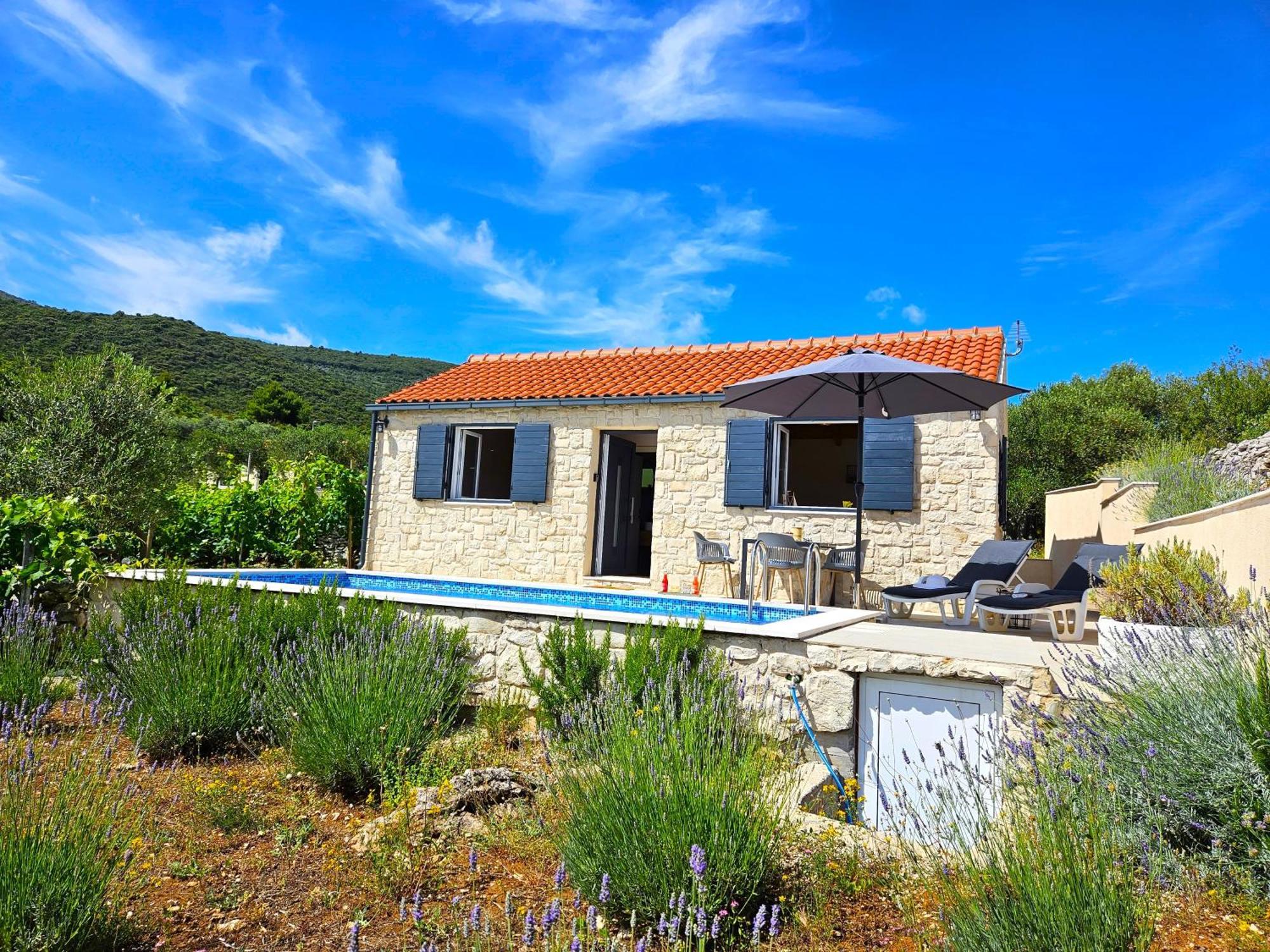Stone House In Vineyard Villa Račišće Exterior foto